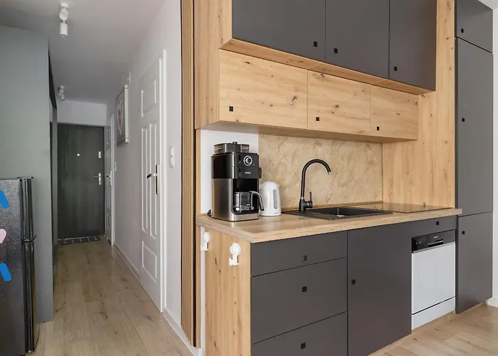 Apartment Piastow Comfy With Balcony & Office In By Renters Katowice